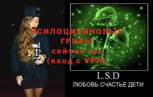 прущий лед Богородицк