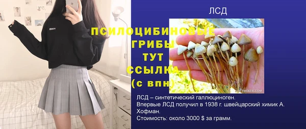 прущий лед Богородицк
