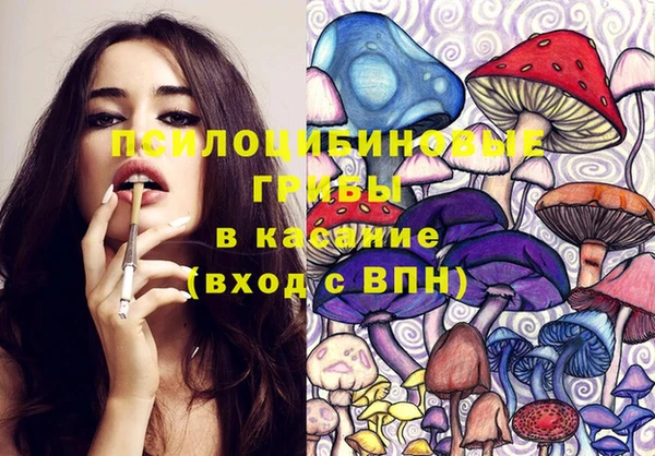 прущий лед Богородицк
