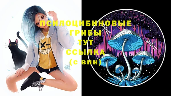 гидра Кукмор