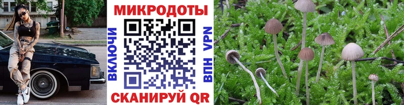 Псилоцибиновые грибы MAGIC MUSHROOMS  наркота  Горняк 